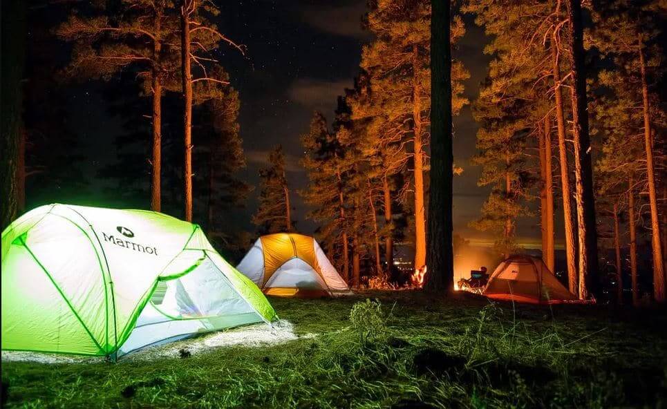 Best Campfire Porn - Top 8 camping sites across Karnataka | Trippy Wheels